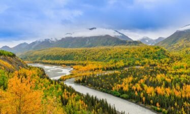 Alt Text | No: Continue.