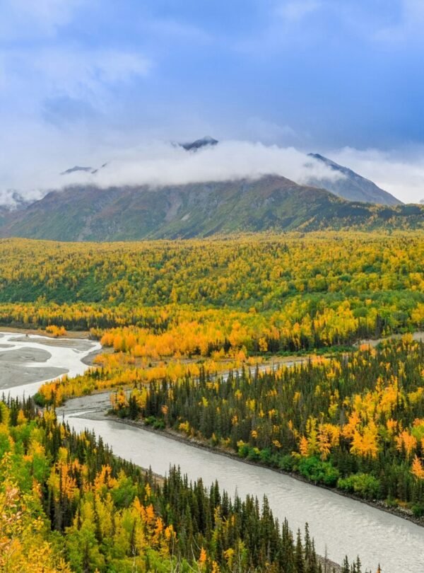 Alt Text | No: Continue.