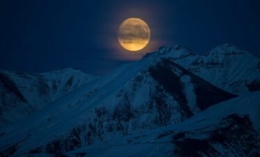 Alt Text | No: Continue.