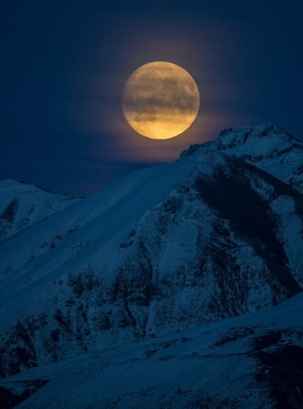 Alt Text | No: Continue.