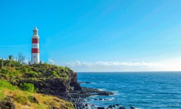 Alt Text | No: Continue.