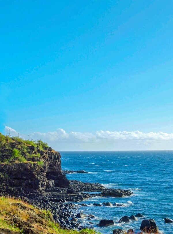 Alt Text | No: Continue.