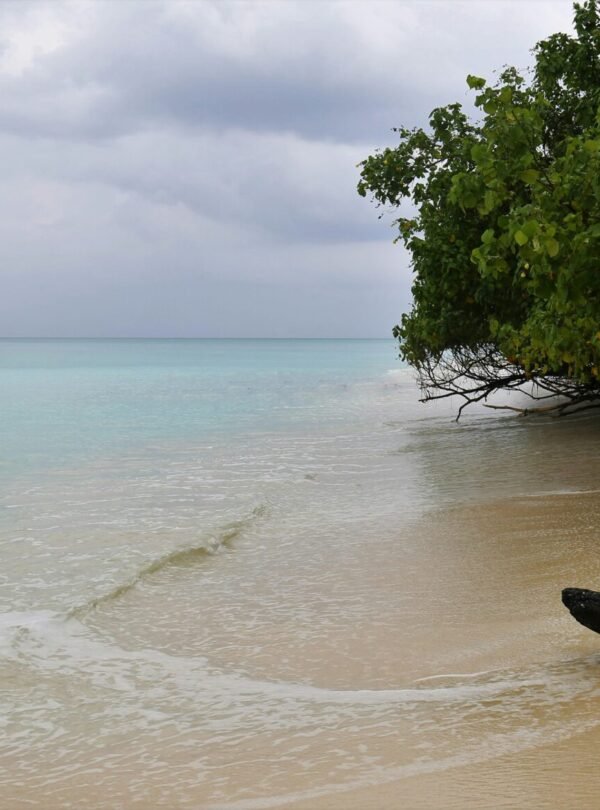 Alt Text | No: Continue.