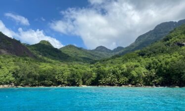 Alt Text | No: Continue.