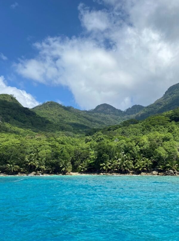 Alt Text | No: Continue.