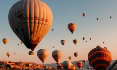 Alt Text | No: Continue.