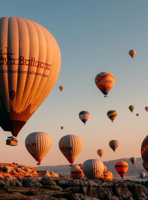 Alt Text | No: Continue.