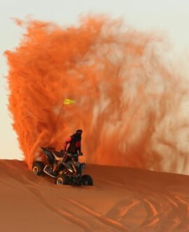 Desert Safari