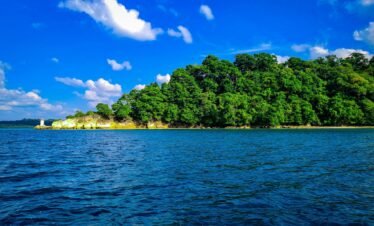 Alt Text | No: Continue.