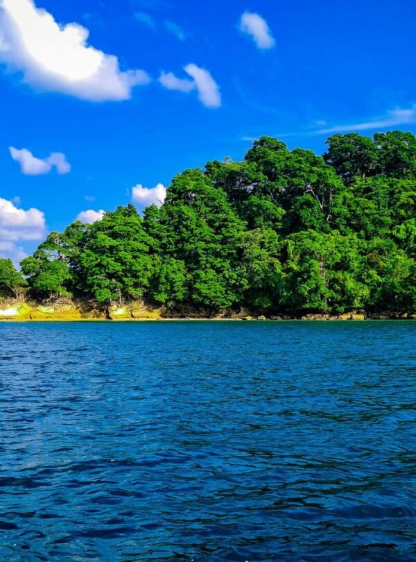 Alt Text | No: Continue.