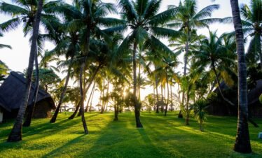 Alt Text | No: Continue.