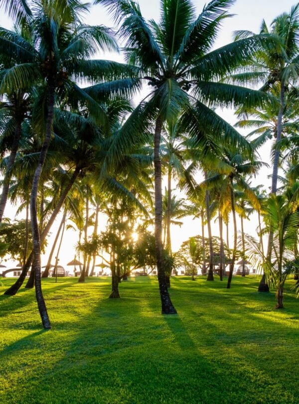 Alt Text | No: Continue.