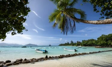 Alt Text | No: Continue.