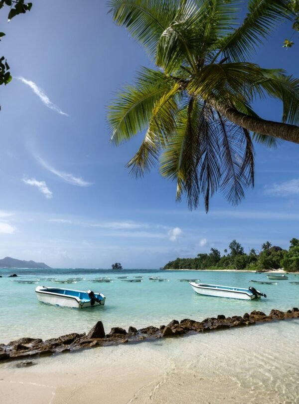 Alt Text | No: Continue.