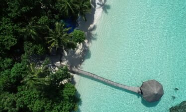 Alt Text | No: Continue.