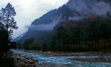 Alt Text | No: Continue.