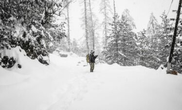 Alt Text | No: Continue.