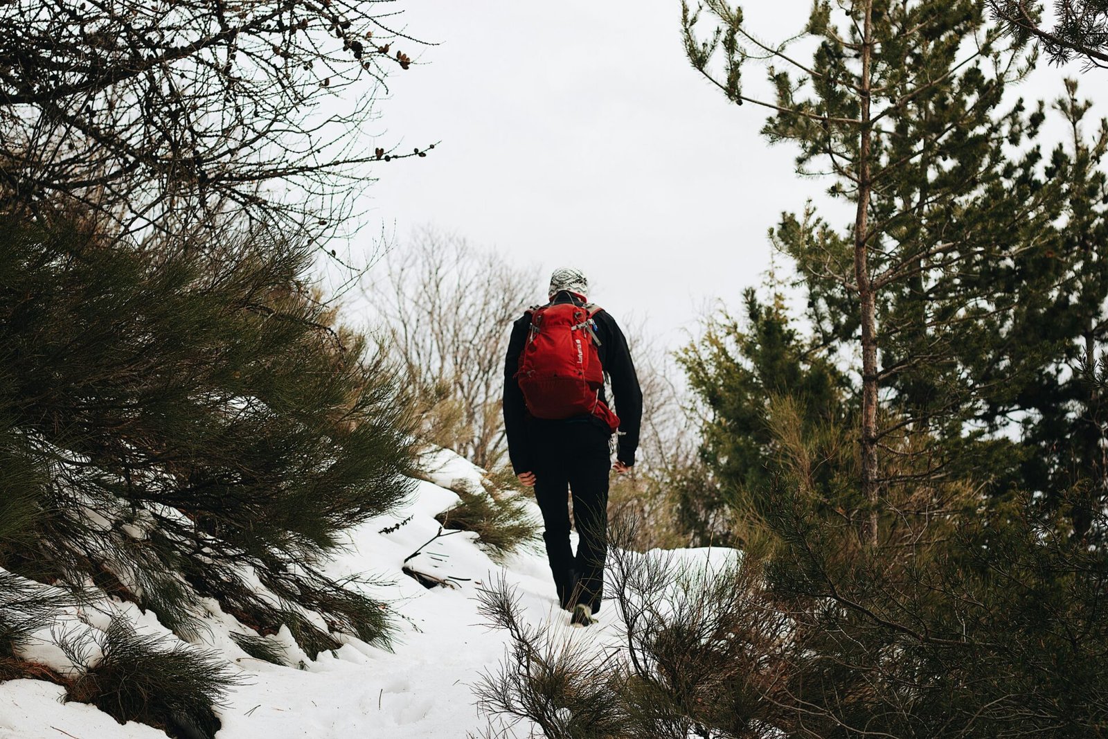 Celebrating Milestones on the Trail: Honoring Individuals Through Hiking Adventures